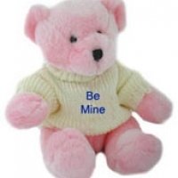 24" Be Mine Teddy Bear with T-shirt